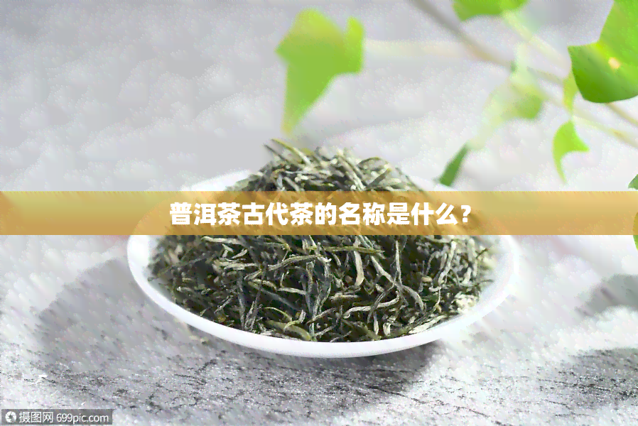 普洱茶古代茶的名称是什么？