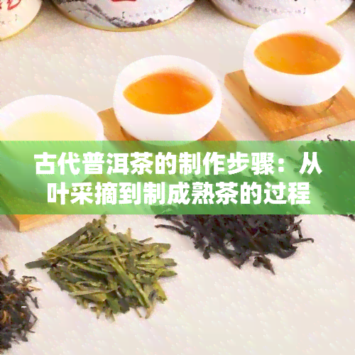 古代普洱茶的制作步骤：从叶采摘到制成熟茶的过程