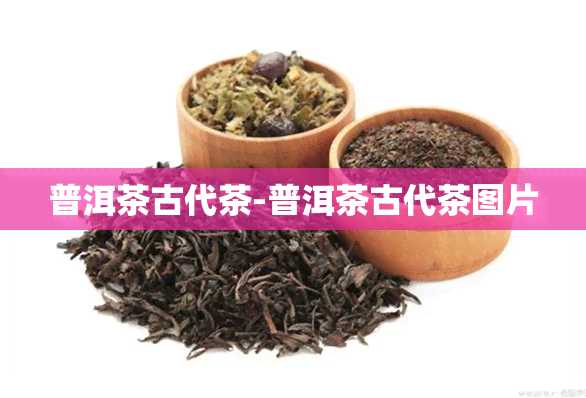 普洱茶古代茶-普洱茶古代茶图片