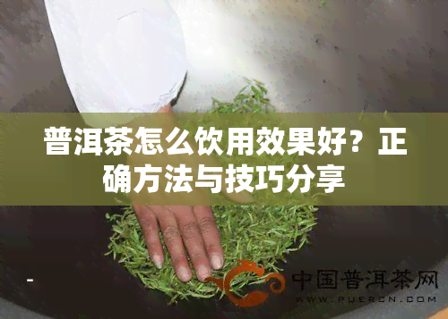 普洱茶怎么饮用效果好？正确方法与技巧分享