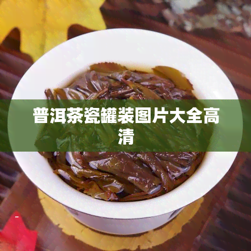 普洱茶瓷罐装图片大全高清