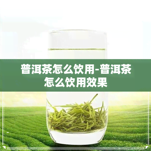 普洱茶怎么饮用-普洱茶怎么饮用效果