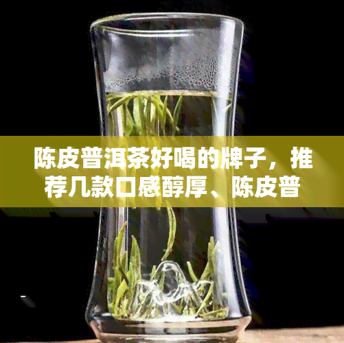 陈皮普洱茶好喝的牌子，推荐几款口感醇厚、陈皮普洱茶好喝的