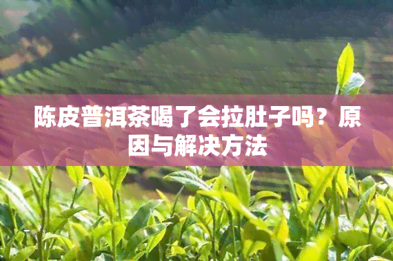 陈皮普洱茶喝了会拉肚子吗？原因与解决方法