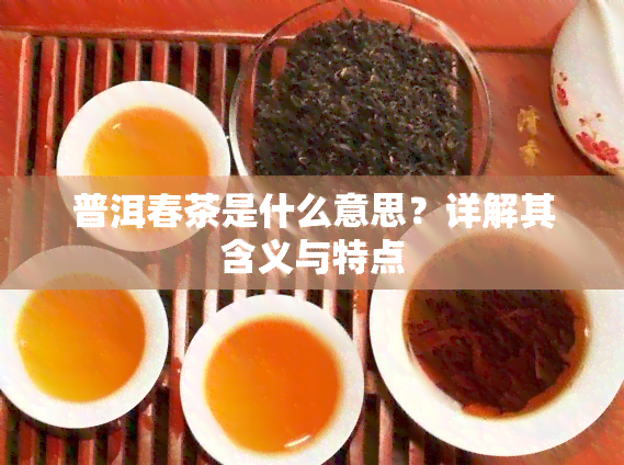 普洱春茶是什么意思？详解其含义与特点