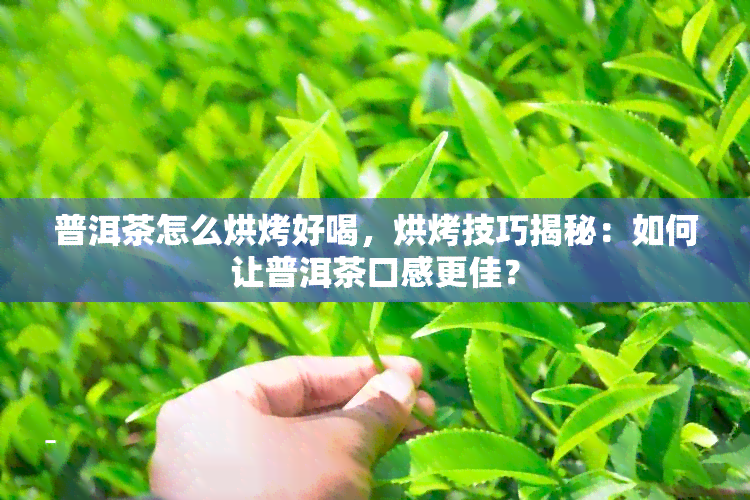 普洱茶怎么烘烤好喝，烘烤技巧揭秘：如何让普洱茶口感更佳？