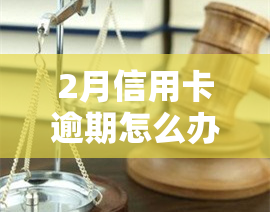 2月信用卡逾期怎么办，期间遭遇信用卡逾期，如何解决？