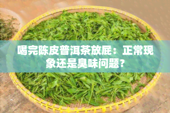 喝完陈皮普洱茶放屁：正常现象还是臭味问题？