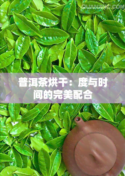 普洱茶烘干：度与时间的完美配合