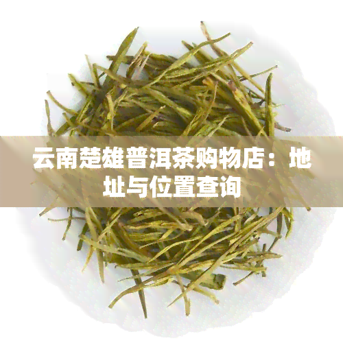 云南楚雄普洱茶购物店：地址与位置查询