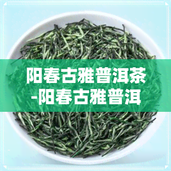 阳春古雅普洱茶-阳春古雅普洱茶价格表