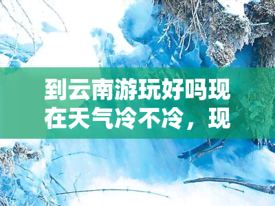 到云南游玩好吗现在天气冷不冷，现在去云南旅游合适吗？气候寒冷要注意什么？