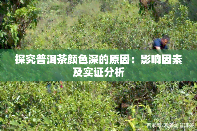 探究普洱茶颜色深的原因：影响因素及实证分析