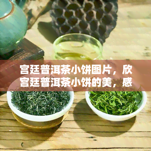 宫廷普洱茶小饼图片，欣宫廷普洱茶小饼的美，感受中国茶文化的魅力！