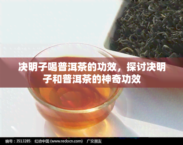 决明子喝普洱茶的功效，探讨决明子和普洱茶的神奇功效