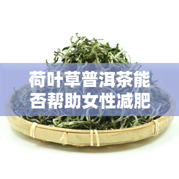 荷叶草普洱茶能否帮助女性减肥？正确饮用方法是什么？