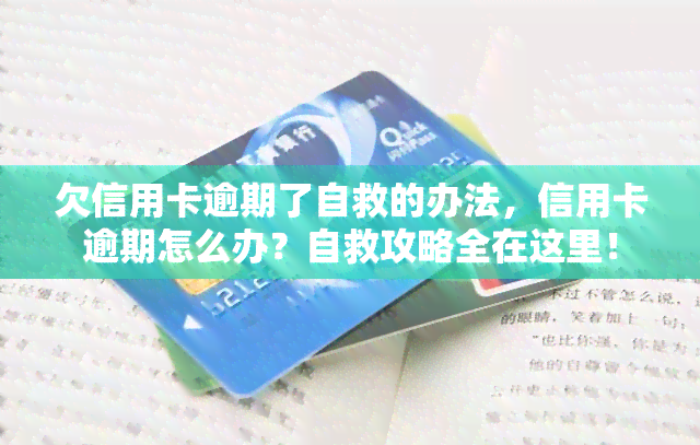 欠信用卡逾期了自救的办法，信用卡逾期怎么办？自救攻略全在这里！