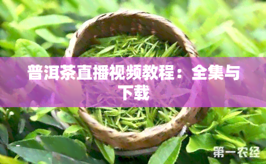 普洱茶直播视频教程：全集与下载