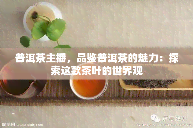 普洱茶主播，品鉴普洱茶的魅力：探索这款茶叶的世界观