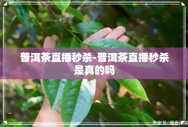 普洱茶直播秒杀-普洱茶直播秒杀是真的吗