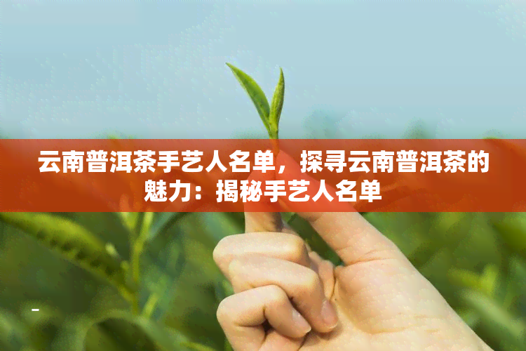 云南普洱茶手艺人名单，探寻云南普洱茶的魅力：揭秘手艺人名单