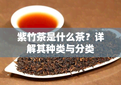 紫竹茶是什么茶？详解其种类与分类