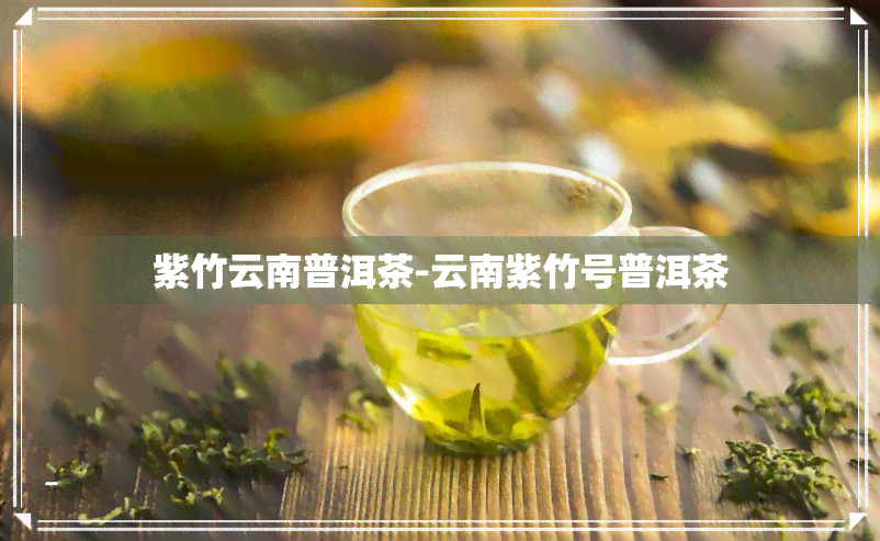 紫竹云南普洱茶-云南紫竹号普洱茶