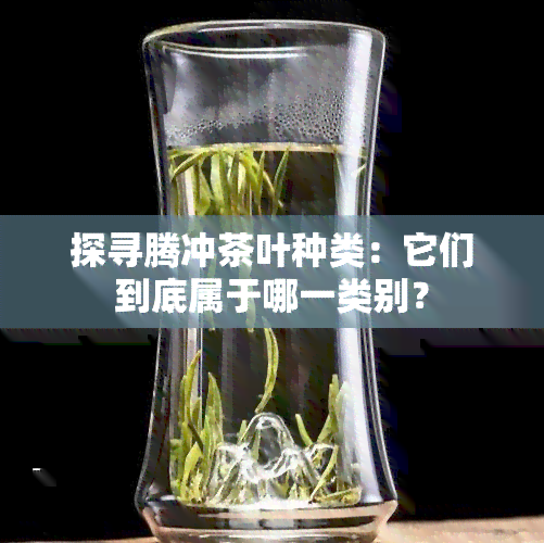 探寻腾冲茶叶种类：它们到底属于哪一类别？