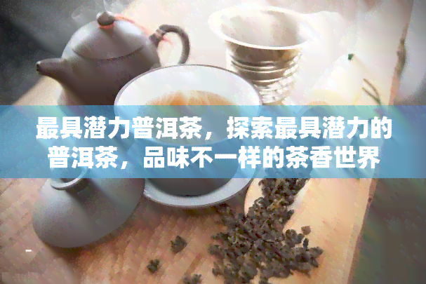 更具潜力普洱茶，探索更具潜力的普洱茶，品味不一样的茶香世界