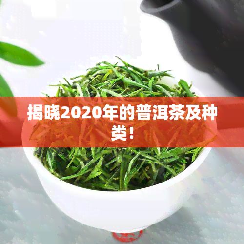 揭晓2020年的普洱茶及种类！