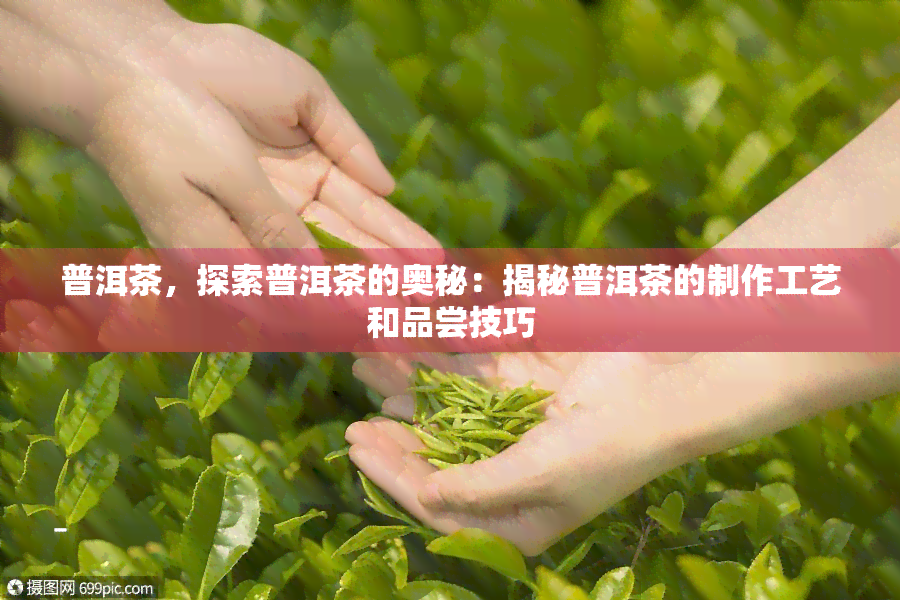 普洱茶，探索普洱茶的奥秘：揭秘普洱茶的制作工艺和品尝技巧