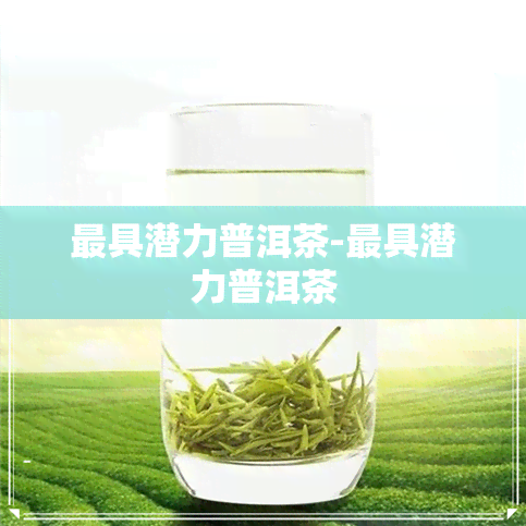 更具潜力普洱茶-更具潜力普洱茶