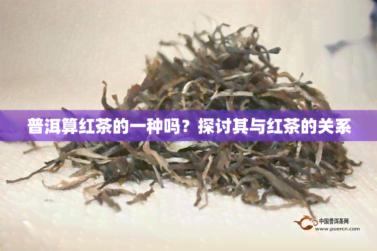 普洱算红茶的一种吗？探讨其与红茶的关系