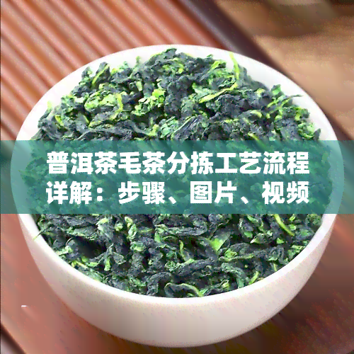 普洱茶毛茶分拣工艺流程详解：步骤、图片、视频全掌握