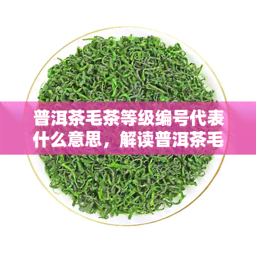 普洱茶毛茶等级编号代表什么意思，解读普洱茶毛茶等级编号的意义与作用