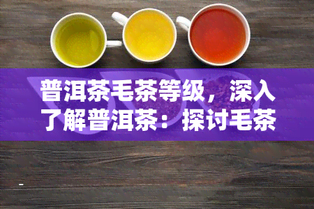 普洱茶毛茶等级，深入了解普洱茶：探讨毛茶的等级与品质