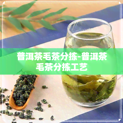 普洱茶毛茶分拣-普洱茶毛茶分拣工艺