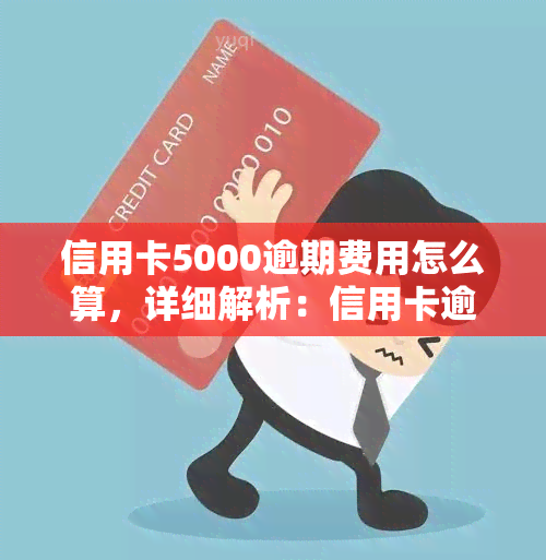 信用卡5000逾期费用怎么算，详细解析：信用卡逾期5000元的费用计算方法