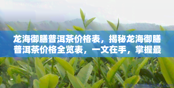 龙海御膳普洱茶价格表，揭秘龙海御膳普洱茶价格全览表，一文在手，掌握最新行情！