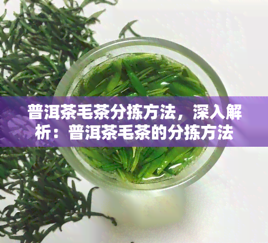 普洱茶毛茶分拣方法，深入解析：普洱茶毛茶的分拣方法