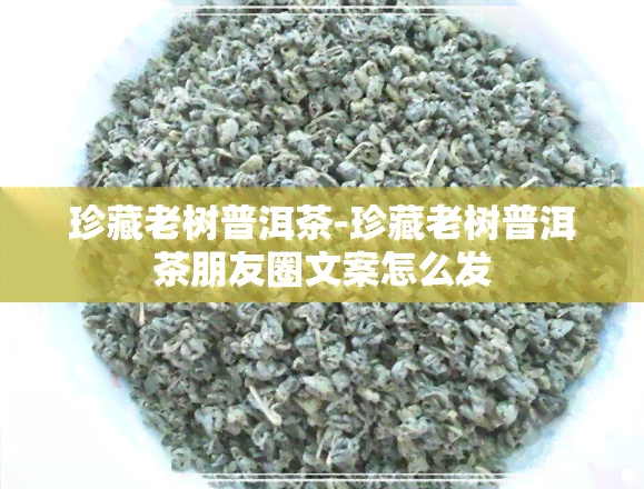 珍藏老树普洱茶-珍藏老树普洱茶朋友圈文案怎么发