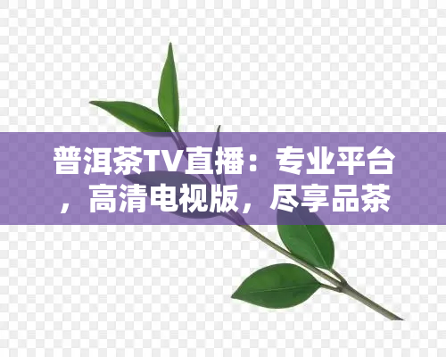 普洱茶TV直播：专业平台，高清电视版，尽享品茶乐趣