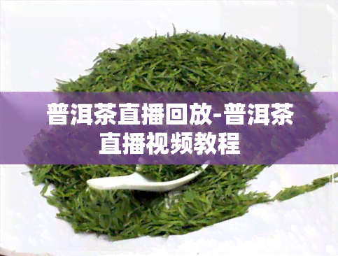 普洱茶直播回放-普洱茶直播视频教程