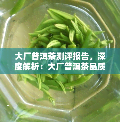 大厂普洱茶测评报告，深度解析：大厂普洱茶品质测评报告