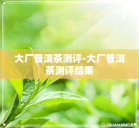 大厂普洱茶测评-大厂普洱茶测评结果