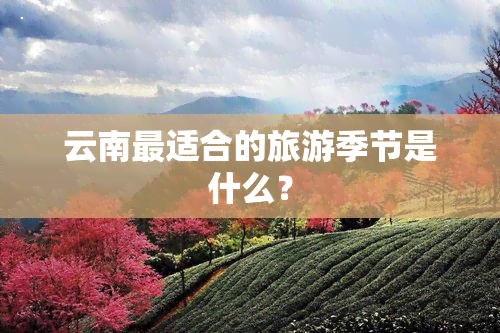 云南最适合的旅游季节是什么？