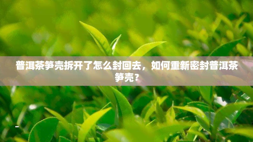 普洱茶笋壳拆开了怎么封回去，如何重新密封普洱茶笋壳？