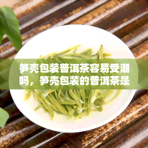 笋壳包装普洱茶容易受潮吗，笋壳包装的普洱茶是否会受潮？