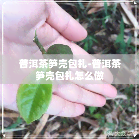 普洱茶笋壳包扎-普洱茶笋壳包扎怎么做