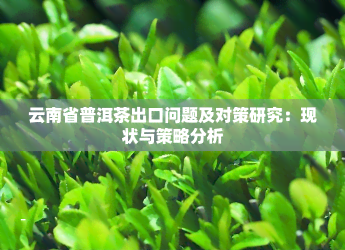 云南省普洱茶出口问题及对策研究：现状与策略分析